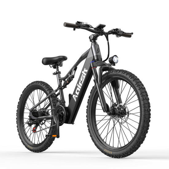 26“ Electric Bicycle for Adults with 100km Range Battery 250W 25km/h