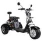 3 Wheel Electric Scooter Trike 60V 40A 2000W CE EEC COC