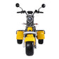 3 Wheel Electric Scooter Trike 60V 40A 2000W CE EEC COC