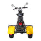 3 Wheel Electric Scooter Trike 60V 40A 2000W CE EEC COC