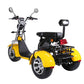 3 Wheel Electric Scooter Trike 60V 40A 2000W CE EEC COC