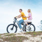 Shengmilo S600 Electric Bike for Adults 26" Dual Motor EU CE for Sale