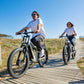 Shengmilo S600 Electric Bike for Adults 26" Dual Motor EU CE for Sale
