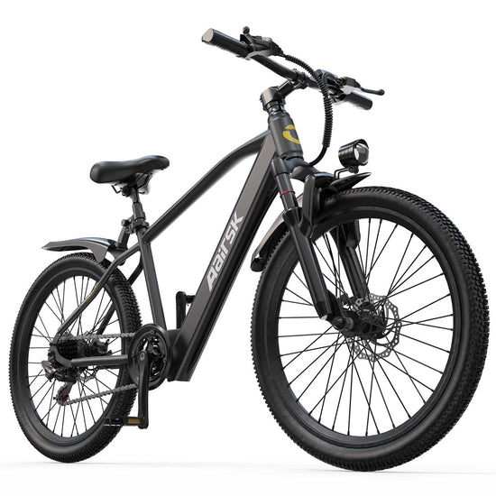 Commuter Electric Bike: 250W 25km/h 30-55km Perfect for City Rides